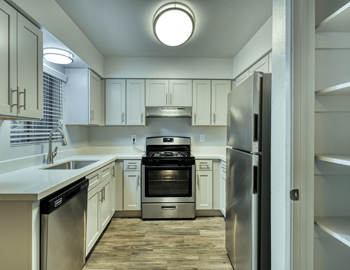Dishwasher and disposal